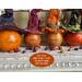 This image shows the back of the Halloween witch gourds. I engrave their names into the gourd shell using wood-burning tools.